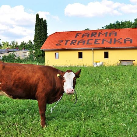 Отель Farma Ztracenka Porici nad Sazavou Экстерьер фото